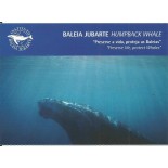 Baleia Jubarte 12.220